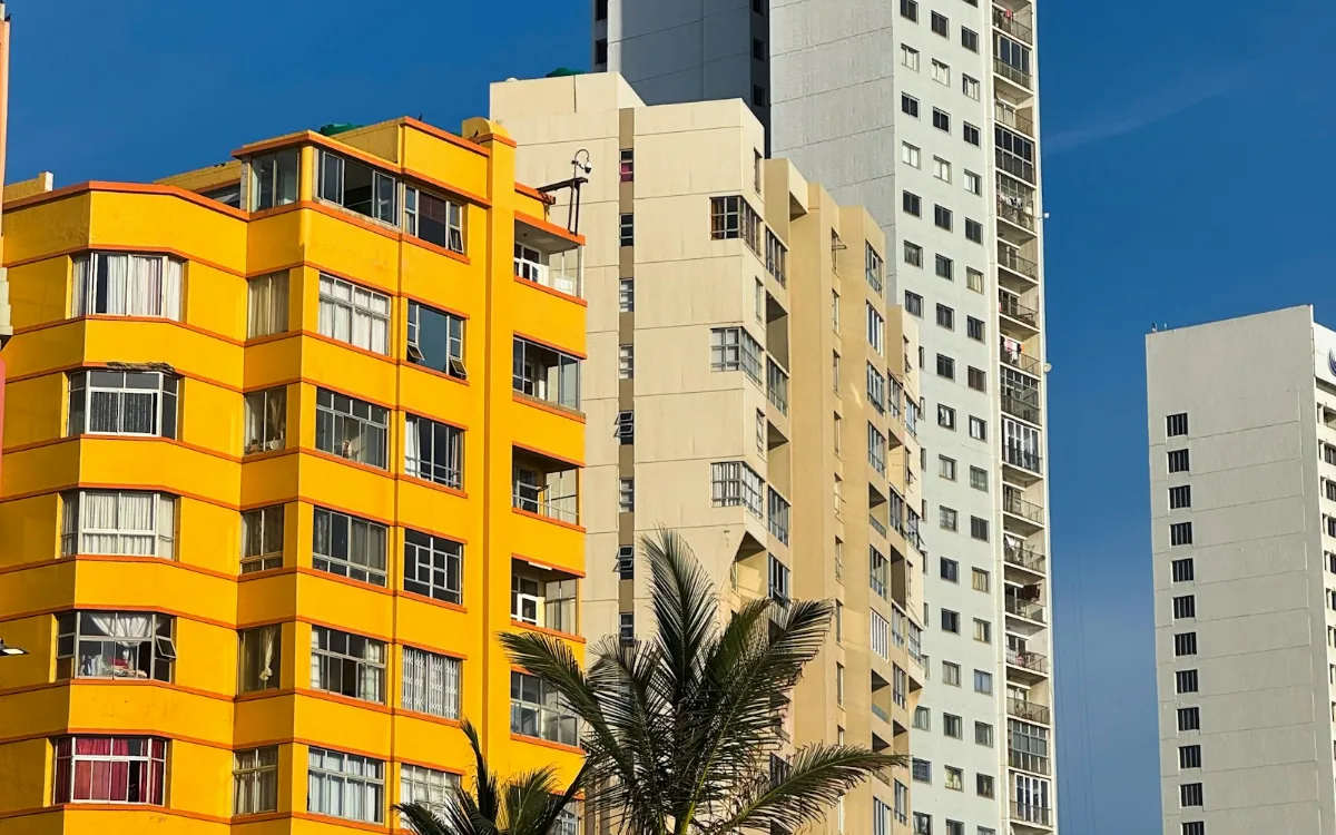 Immeubles résidentiels de grande hauteur bordés de palmiers.